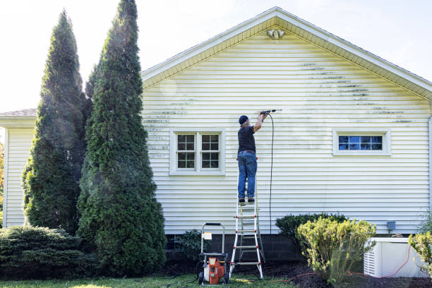 Best Garage Pressure Washing  in Harlan, IN