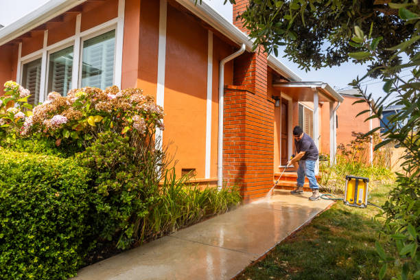Best Local Pressure Washing Services  in Harlan, IN