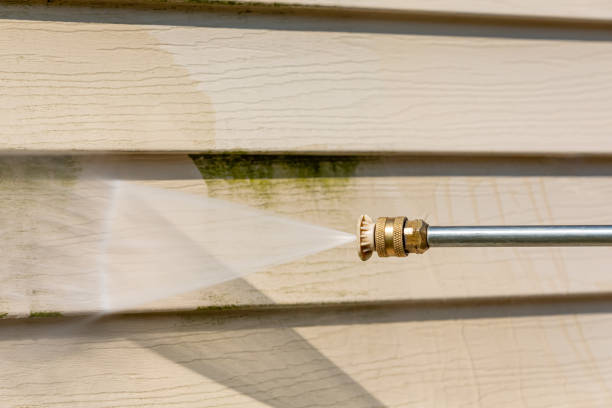 Best Exterior Home Cleaning  in Harlan, IN