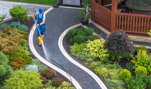 Best Exterior Home Cleaning  in Harlan, IN